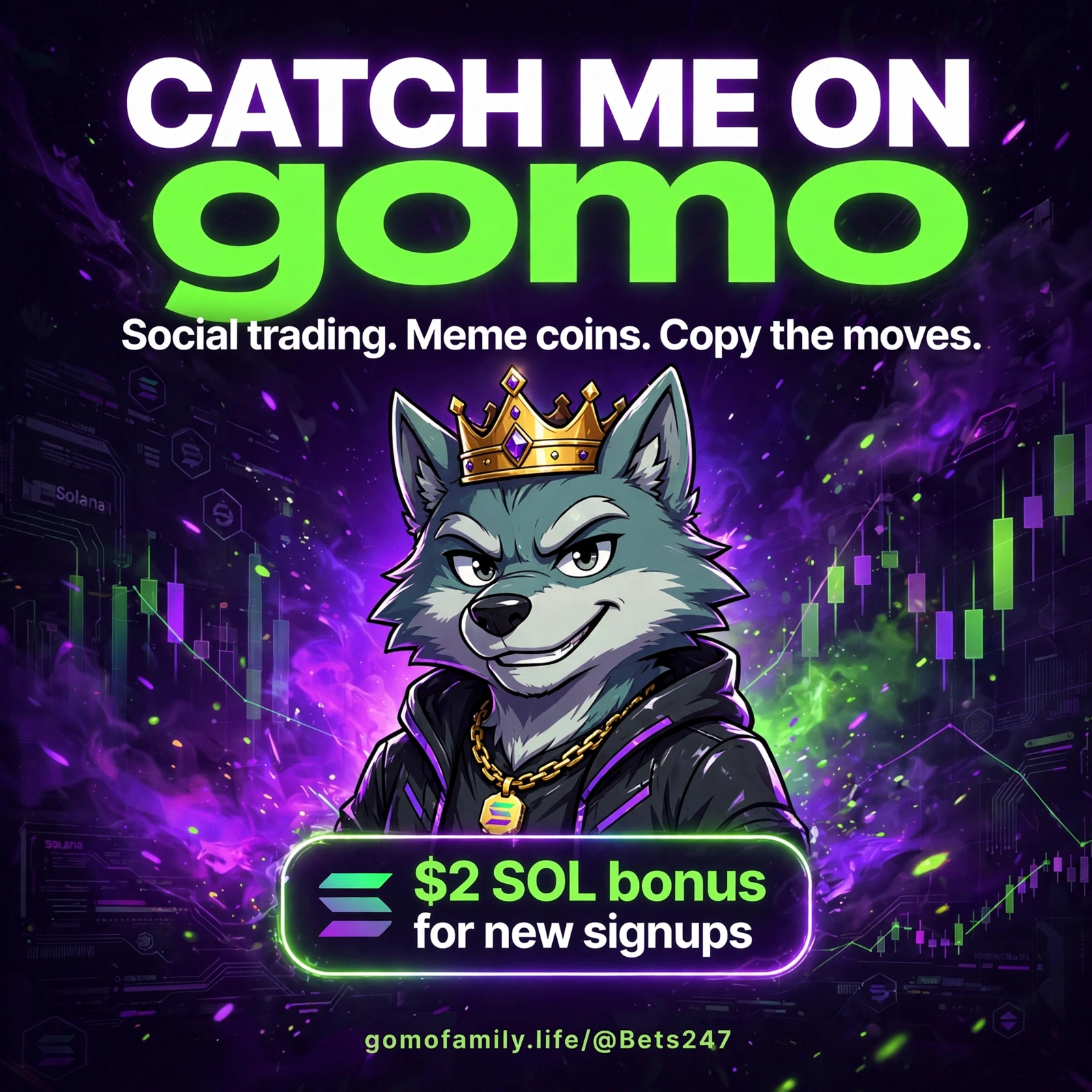 Catch BETS247 on gomo — social trading, meme coins and a $2 SOL bonus for eligible new signups